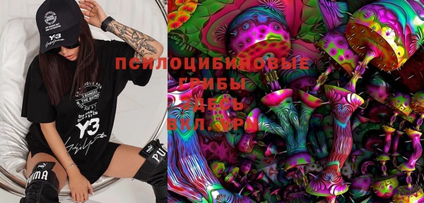 гашик Богданович