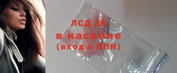 гашик Богданович