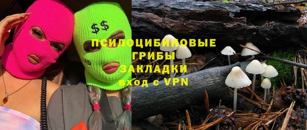 альфа пвп Богородицк