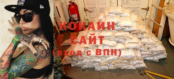 гашик Богданович