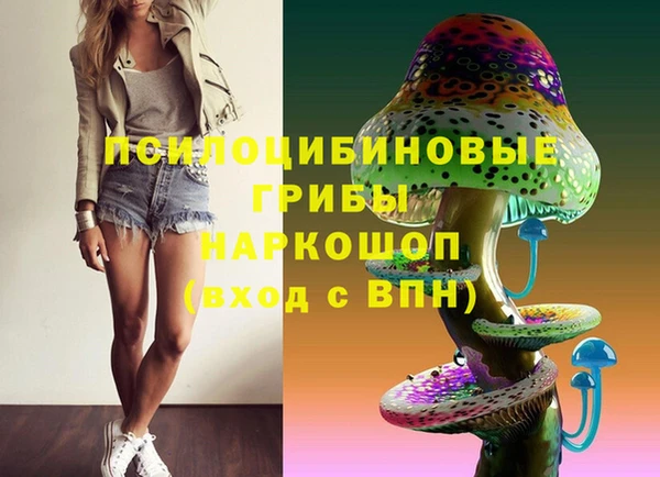 первитин Богородск