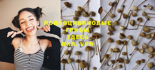 первитин Богородск