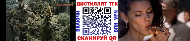 omg Чебоксары ТГК гашишное масло как найти закладки