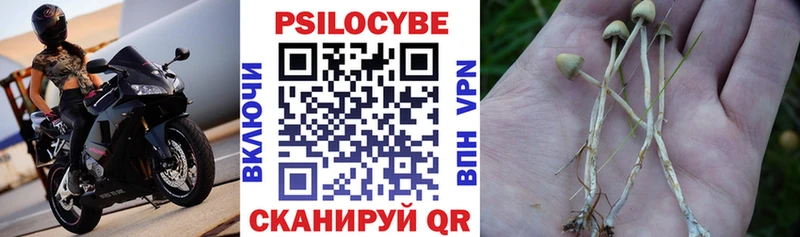 hydra ТОР Чебоксары Псилоцибиновые грибы GOLDEN TEACHER купить